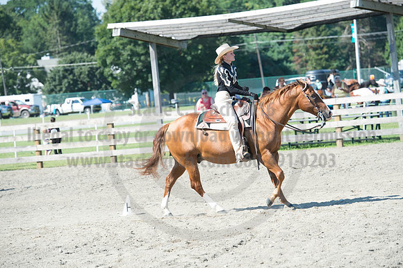 2016DCF_08272016_SCL_1093