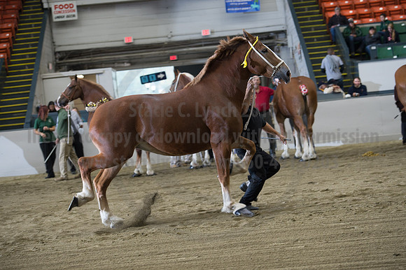 NABC8_10132016_SCL_5150