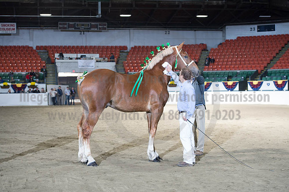 NABC8_10122016_SCL_2826