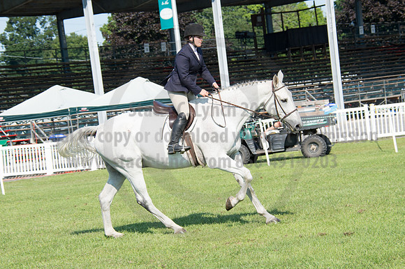 2016DCF_08242016_SCL_8579
