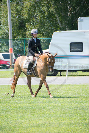 2016DCF_08242016_SCL_8964