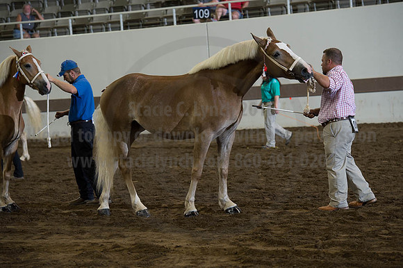 ISF_08192016_SCL_4247