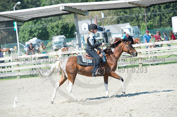 2016DCF_08272016_SCL_1117