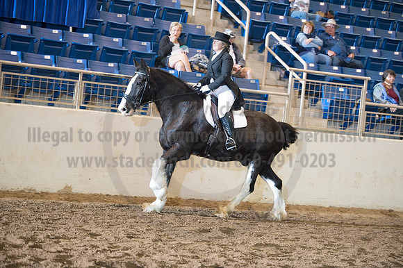 2016 _KILE_10082016_SCL9309