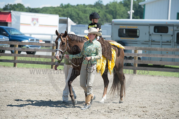 2016DCF_08272016_SCL_1263