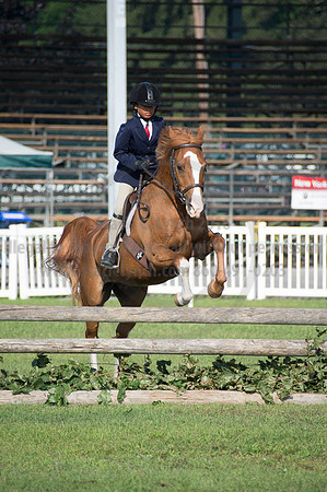 2016DCF_08262016_SCL_0125