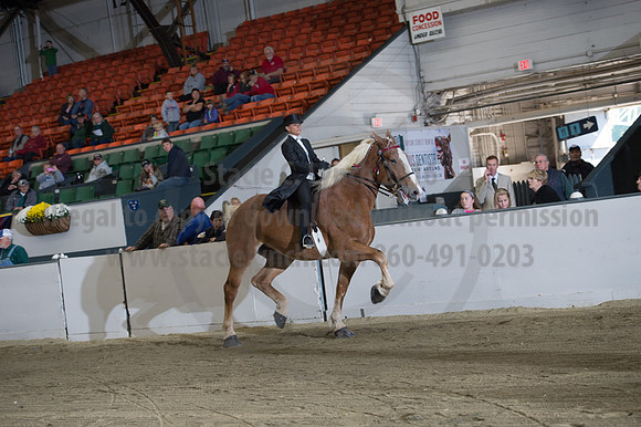 NABC8_10152016_SCL_0620