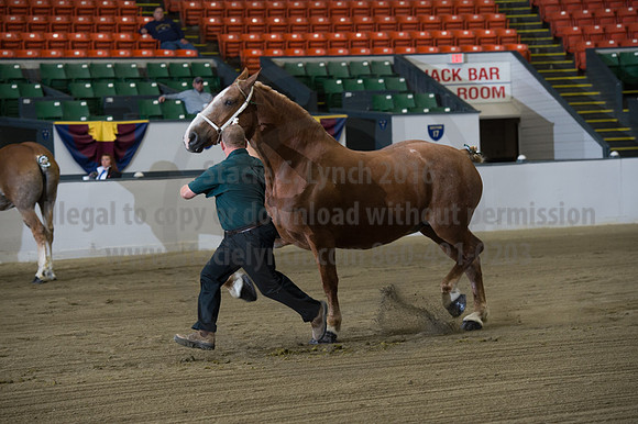 NABC8_10132016_SCL_5073