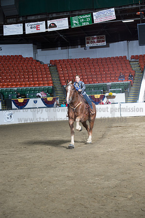NABC8_10142016_SCL_8991
