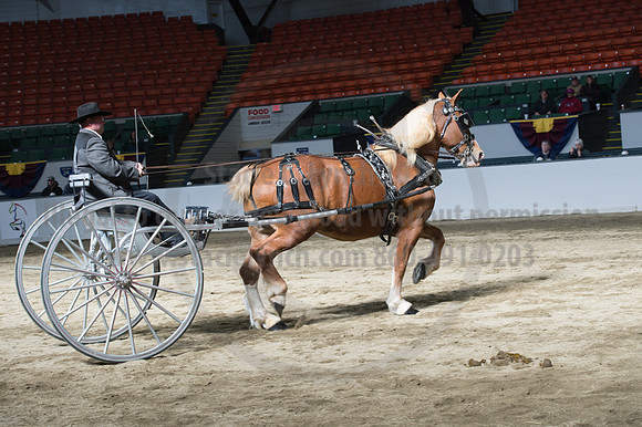 NABC8_10142016_SCL_8417