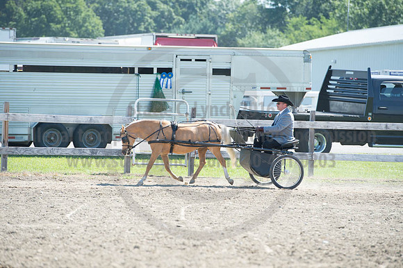 2016DCF_08272016_SCL_1160