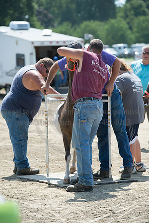 2016DCF_08272016_SCL_1364