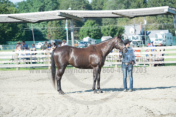 2016DCF_08272016_SCL_1022