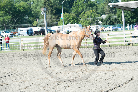 2016DCF_08272016_SCL_1008