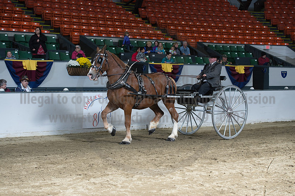 NABC8_10142016_SCL_8406