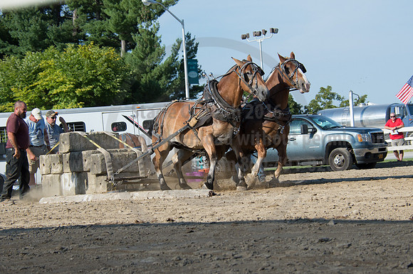 2016DCF_08242016_SCL_9543