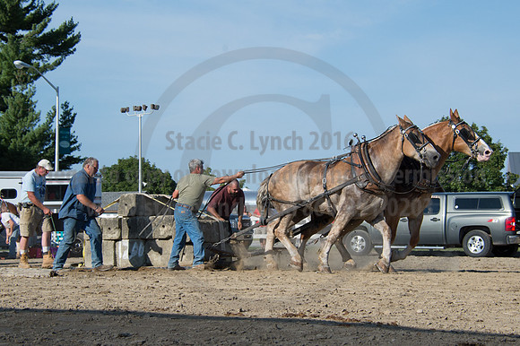 2016DCF_08242016_SCL_9537