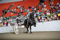 BigE_09282024_SCL1511