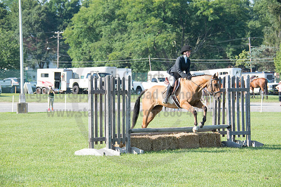 2016DCF_08262016_SCL_0159
