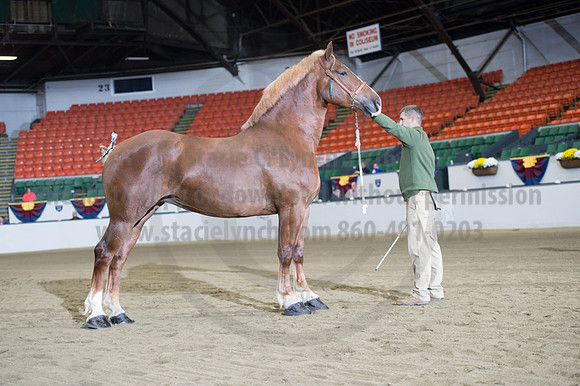 NABC8_10132016_SCL_5176