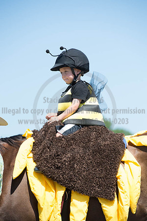 2016DCF_08272016_SCL_1267
