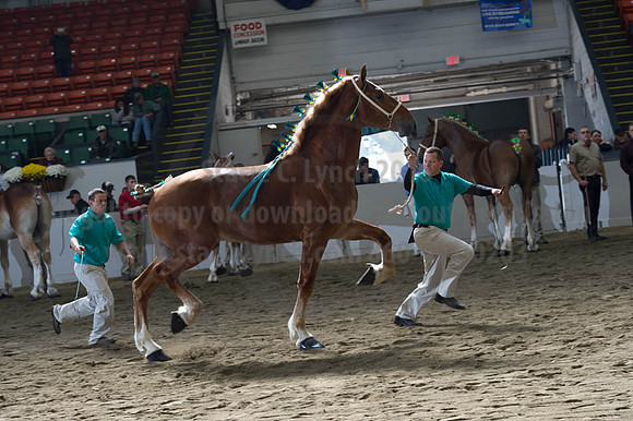NABC8_10122016_SCL_2880
