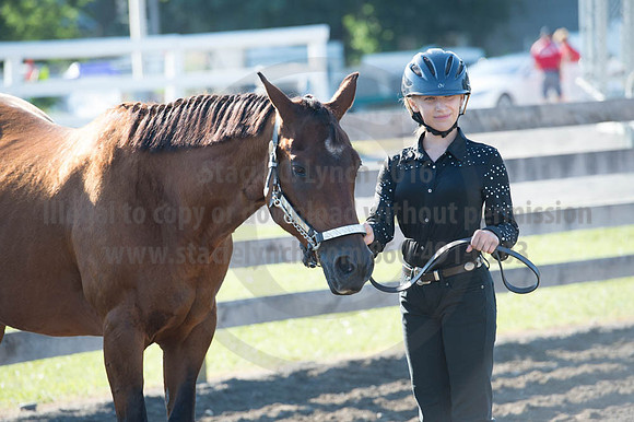 2016DCF_08272016_SCL_0922