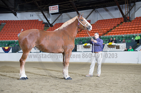 NABC8_10132016_SCL_5278