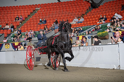 BigE_09272024_SCL1139
