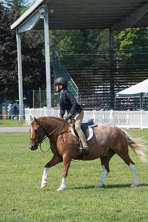2016DCF_08242016_SCL_8823
