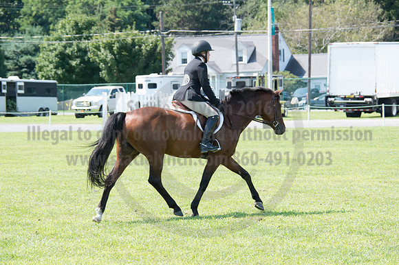 2016DCF_08242016_SCL_8905