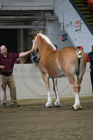 NABC8_10132016_SCL_5107