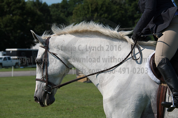 2016DCF_08242016_SCL_8673