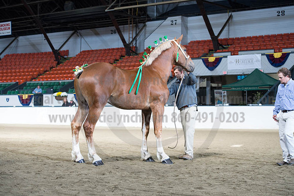 NABC8_10122016_SCL_2824