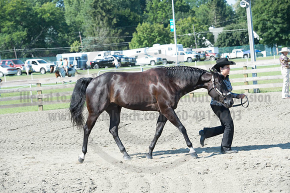 2016DCF_08272016_SCL_1052