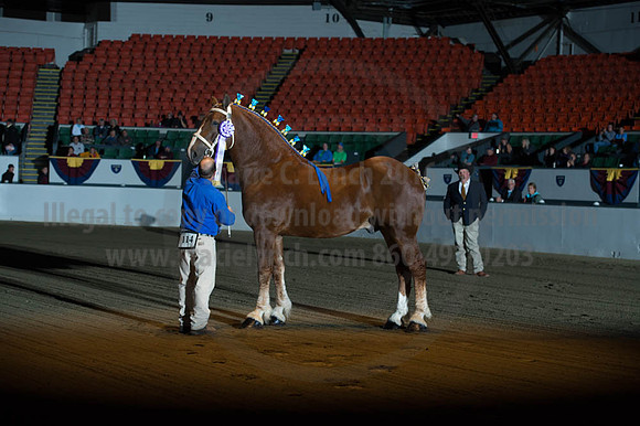 NABC8_10122016_SCL_4082