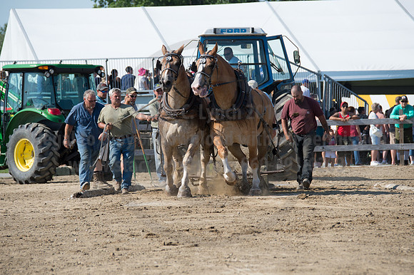 2016DCF_08242016_SCL_9405