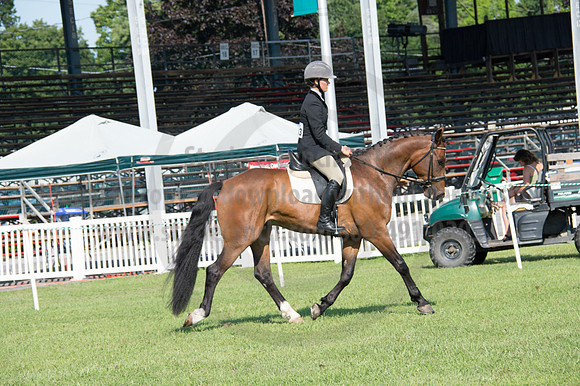 2016DCF_08242016_SCL_8568