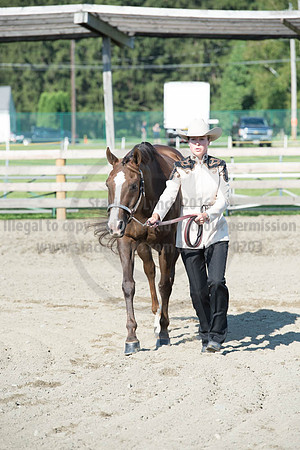 2016DCF_08272016_SCL_0962