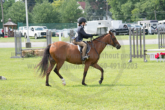 2016DCF_08252016_SCL_9771