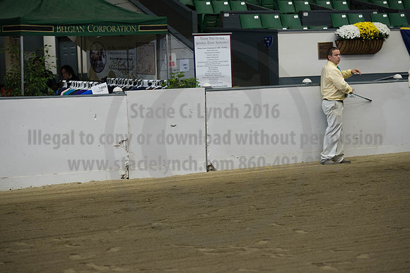NABC8_10122016_SCL_4144