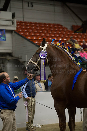 NABC8_10122016_SCL_4123