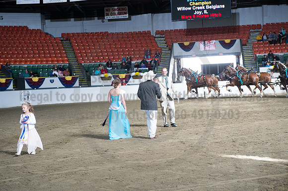 NABC8_10142016_SCL_8789