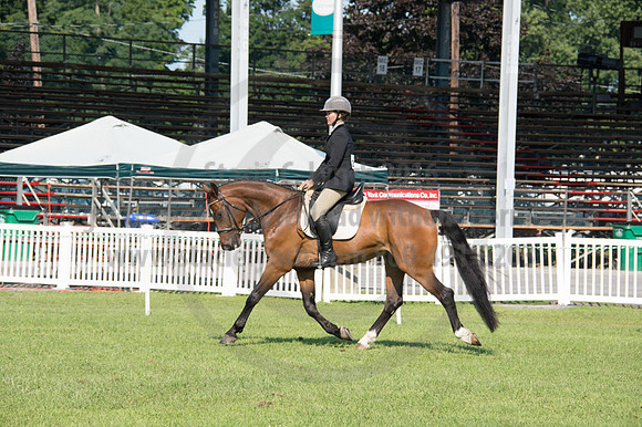 2016DCF_08242016_SCL_8562