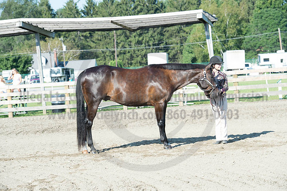 2016DCF_08272016_SCL_0930