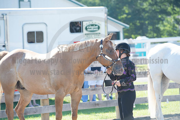 2016DCF_08272016_SCL_1016