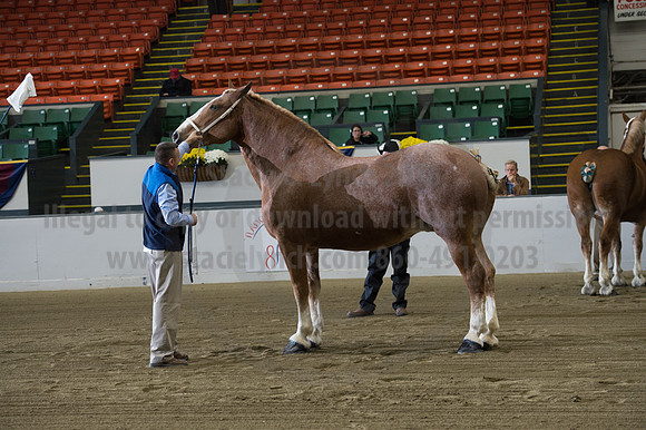 NABC8_10132016_SCL_5040