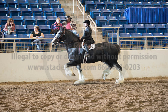 2016 _KILE_10082016_SCL9306