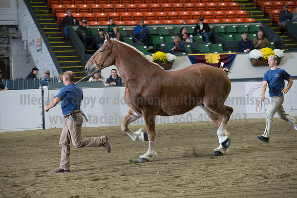 NABC8_10132016_SCL_5121