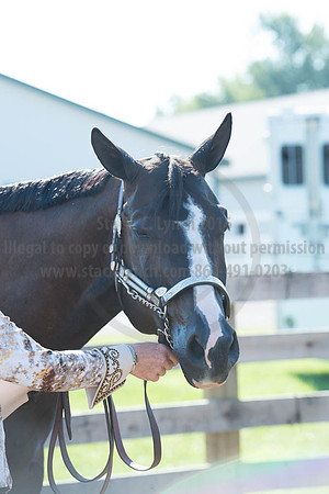 2016DCF_08272016_SCL_0974